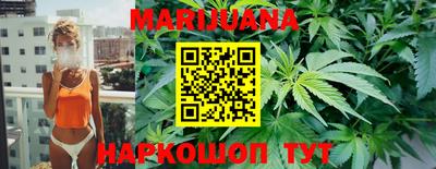 Альфа ПВП Кандалакша