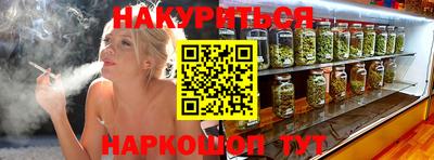 Альфа ПВП Кандалакша