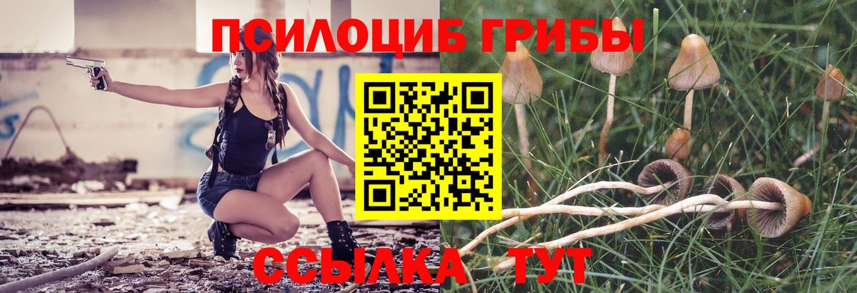 Псилоцибиновые грибы GOLDEN TEACHER  Вход с VPN  Лыткарино 