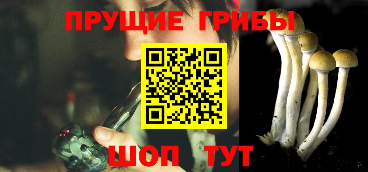 Галлюциногенные грибы прущие грибы Лыткарино